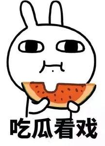 小弛娱乐吃瓜,揭秘娱乐圈最新吃瓜事件